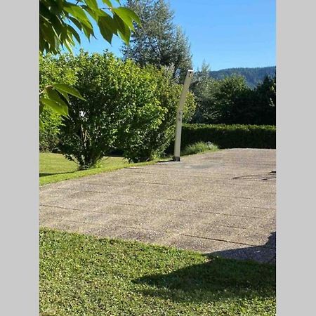 Die Seeblume - Ferienwohnung Mit Pool Und Seeblick Bodman-Ludwigshafen Ngoại thất bức ảnh