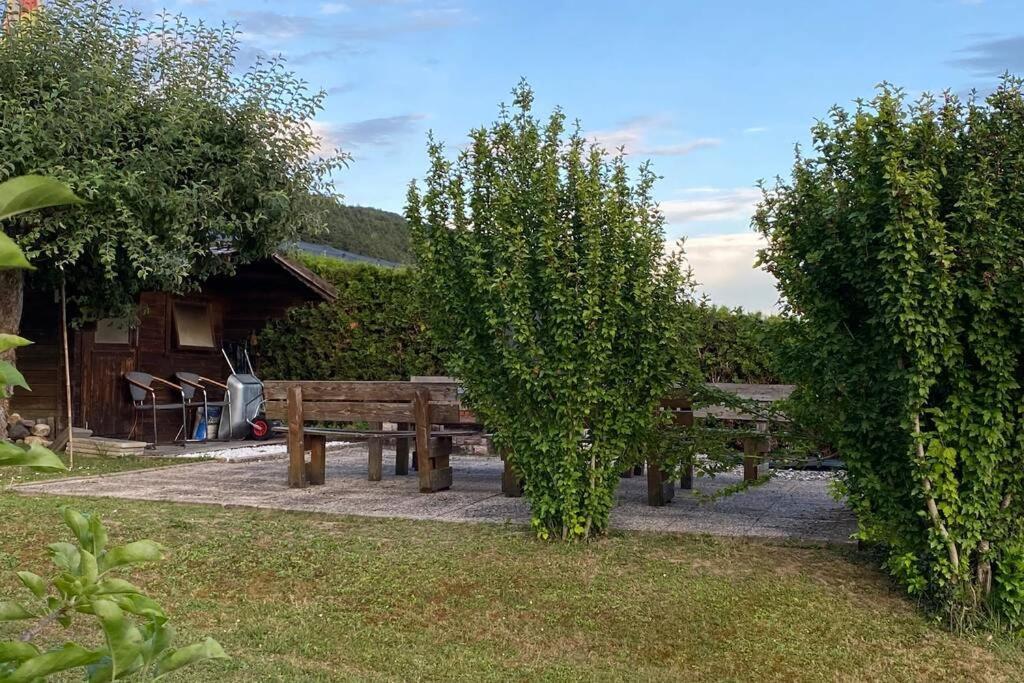 Die Seeblume - Ferienwohnung Mit Pool Und Seeblick Bodman-Ludwigshafen Ngoại thất bức ảnh